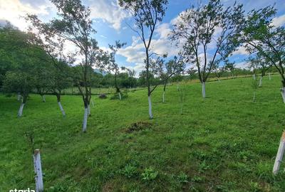 Spațiu comercial, în Benic - 7