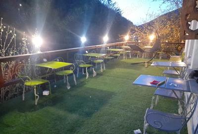 Casă cu 13 camere cu Teren 5000 Mp în Măguri - 6