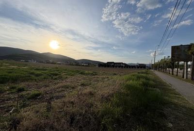 Teren Construcții intravilan de 4088 mp, în Micești - 2