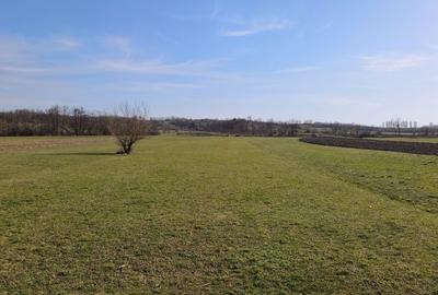 Teren de 3600 mp, în Exterior Vest - 2