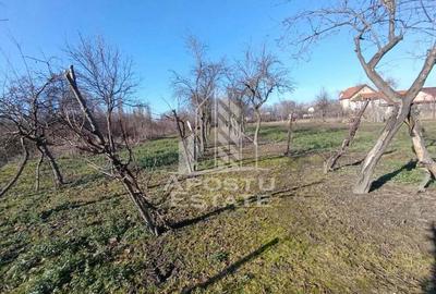 Casa individuala cu teren generos 2158mp, front 12m, livada, Freidorf - 3