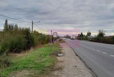 Spațiu comercial, în Manasia - 2