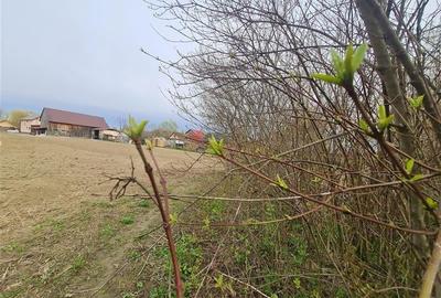 1.700mp intravilan,acces usor,intre case,ideal 2 locuinte/investitie,Lunca Calni - 12