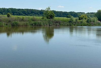 Spațiu comercial, în Afumați - 6