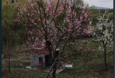 Teren de 2100 mp, în Gârbova - 4