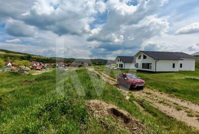 Teren Construcții intravilan de 2538 mp, în Șura Mare - 5