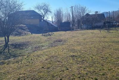 Teren Construcții intravilan de 1600 mp, în Jgheaburi - 6