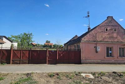 Casă cu Teren 1439 Mp în Sânpetru Mare - 2