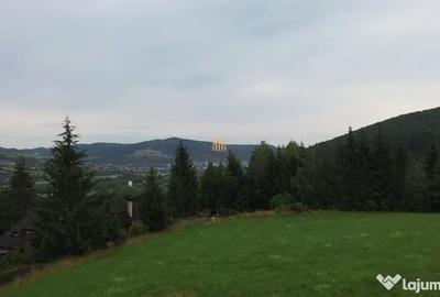Teren de 5023 mp, în Voroneț - 1