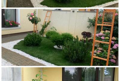 Casă în Moșnița Nouă - 4