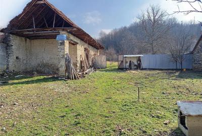 Ciclova, Teren Intravilan, Centru, Pret Negociabil - 30