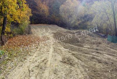 Teren de vanzare in Curtea de Arge?, Strada Anghele?ti. - 7