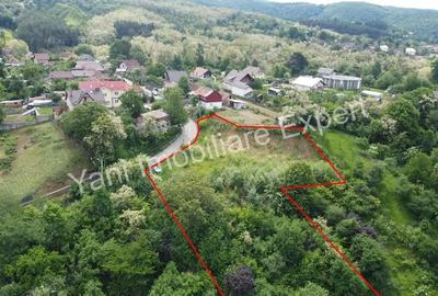 Teren excep?ional de vanzare in Curtea de Arge?. - 6