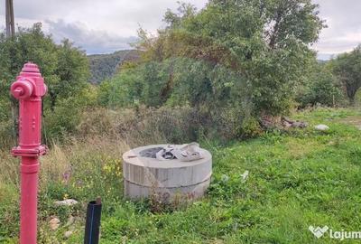 Teren de 3082 mp, în Damiș - 14