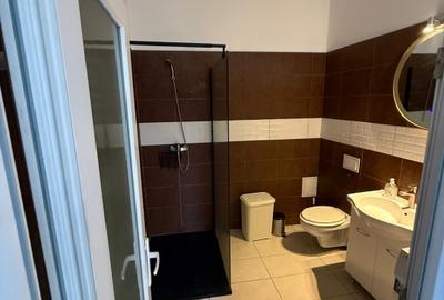 Apartament cu 2 camere semidecomandat, mobilat în Ultracentral - 7