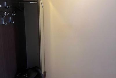 Apartament cu 2 camere semidecomandat, mobilat în Tătărași - 2