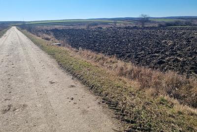 Spațiu comercial, în Pericei - 5