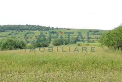 Casa de vanzare cu potential de investitie, Aghiresu - 2