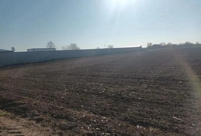 Teren de Investitie 500 mp, deschidere 25m, langa padurea de tei, Ordoreanu - 5