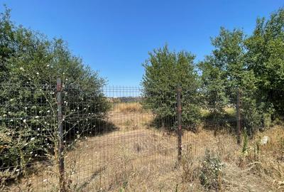 Teren intravilan 1174mp in Dudovicesti cu deschiderea de 41m POT 35% CUT 1,05 - 6