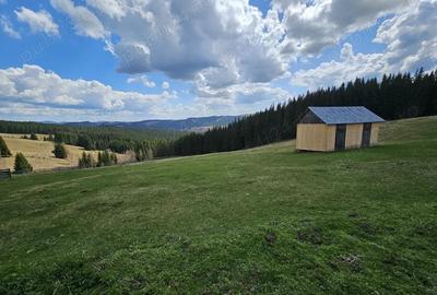 Teren de vanzare 15 hectare in Bucovina Moldova Sulita zona Lucina - 2