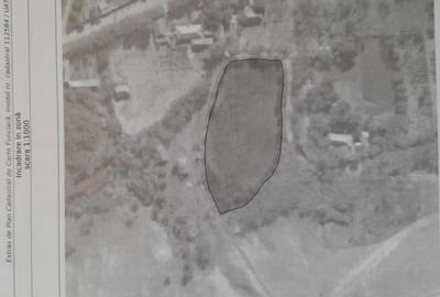 Teren de 2500 mp, în Vădeni - 1