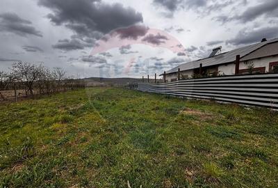 Teren Construcții intravilan de 1186 mp, în Ineu - 6