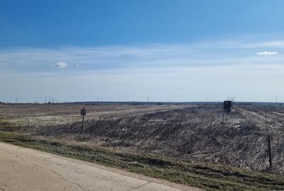 Teren agricol intravilan de 10000 mp, în Snagov - 7