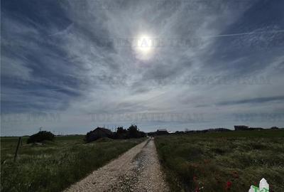 Teren intravilan Techirghiol - 4