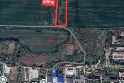 Teren Construcții intravilan de 2500 mp, în Clinceni - 10