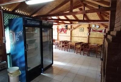 Casă cu Teren 2693 Mp în Gornea - 9