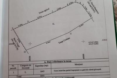 Casa de vanzare in Poienarei, Arges, Refugiu in natura, ... Casa de vanzare in Poienarei, Arges, Refugiu in natura, ... - 11