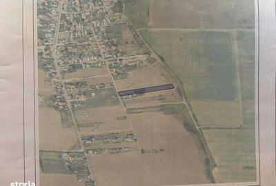 Teren de 5000 mp, în Glina