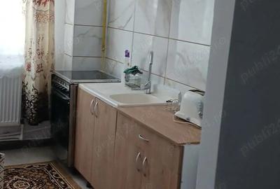 Apartament cu 2 camere semidecomandat în Vulcan - 13