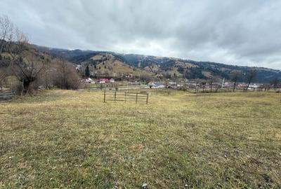 Teren de 4872 mp, în Lunca - 8