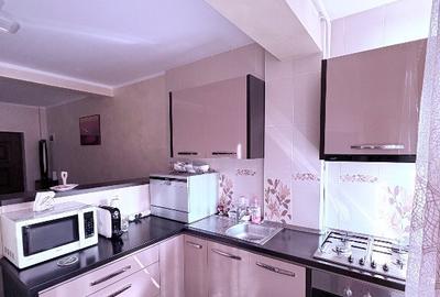 APARTAMENT 3 Camere | 56mp | Mobilat+utilat | Sfantu-Ilie (OBCINI) - 8