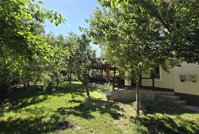 Casă cu 5 camere cu Canalizare în Agigea - 22