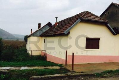 Casă cu 3 camere cu Teren 1900 Mp în Finiș - 9