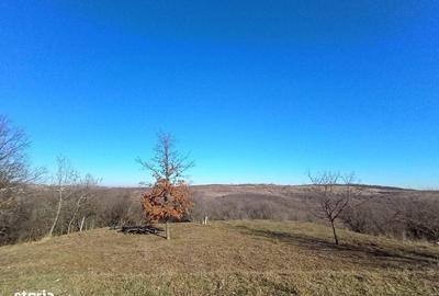 Casă cu 5 camere cu Canalizare în Podgoria - 8