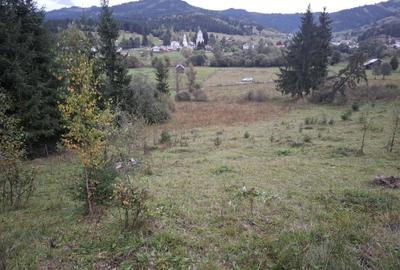 Spațiu comercial, în Panaci - 2