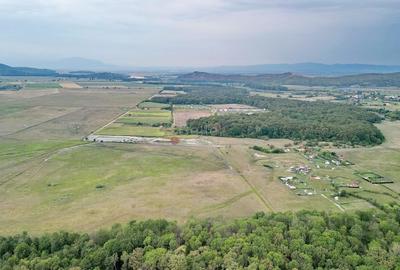 Teren Extravilan - 11