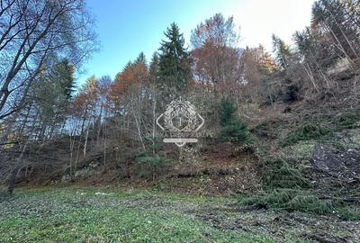 Teren 2.882 mp – oportunitate investitie - Cheile Dâmbovicioarei - 6