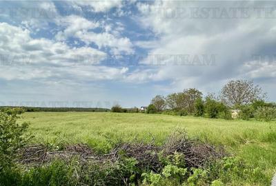 Teren intravilan de Comuna Ganeasa Teren intravilan de Comuna Ganeasa - 2
