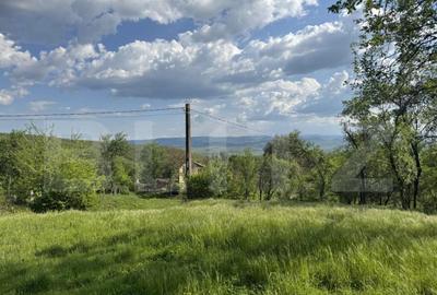 Teren intravilan de vanzare, 15080 mp, zona Tatara?ti - 2