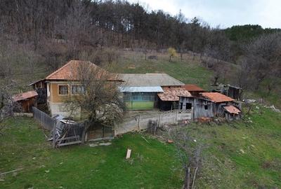 Spațiu comercial, în Stăncești - 3