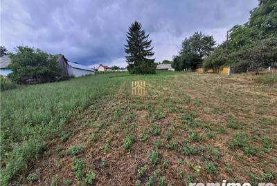 Casă cu 3 camere cu Teren 7000 Mp în Zvoriștea - 15