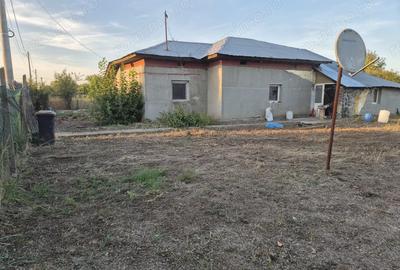 Vand casa ,teren,vie greaca giurgiu - 3
