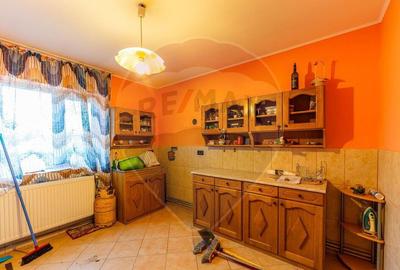 Vila 4 camere si teren 4421mp de vanzare - 9