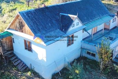 CASĂ cu teren 4.262 mp - Comuna BORLEȘTI, judetul NEAMȚ - 2