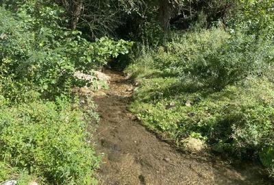 Casă cu 2 camere cu Teren 30000 Mp în Sichevița - 3